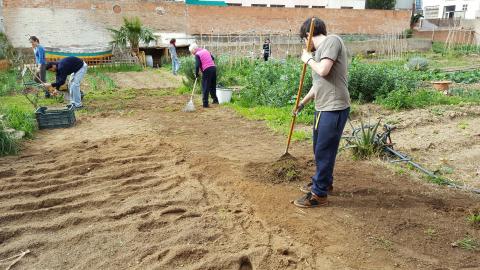 Preparant la terra per plantar.